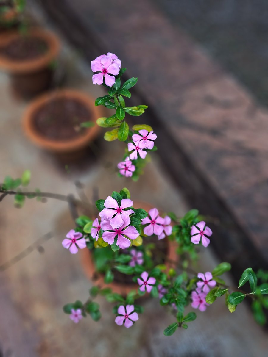 bhushanmate's tweet image. 
