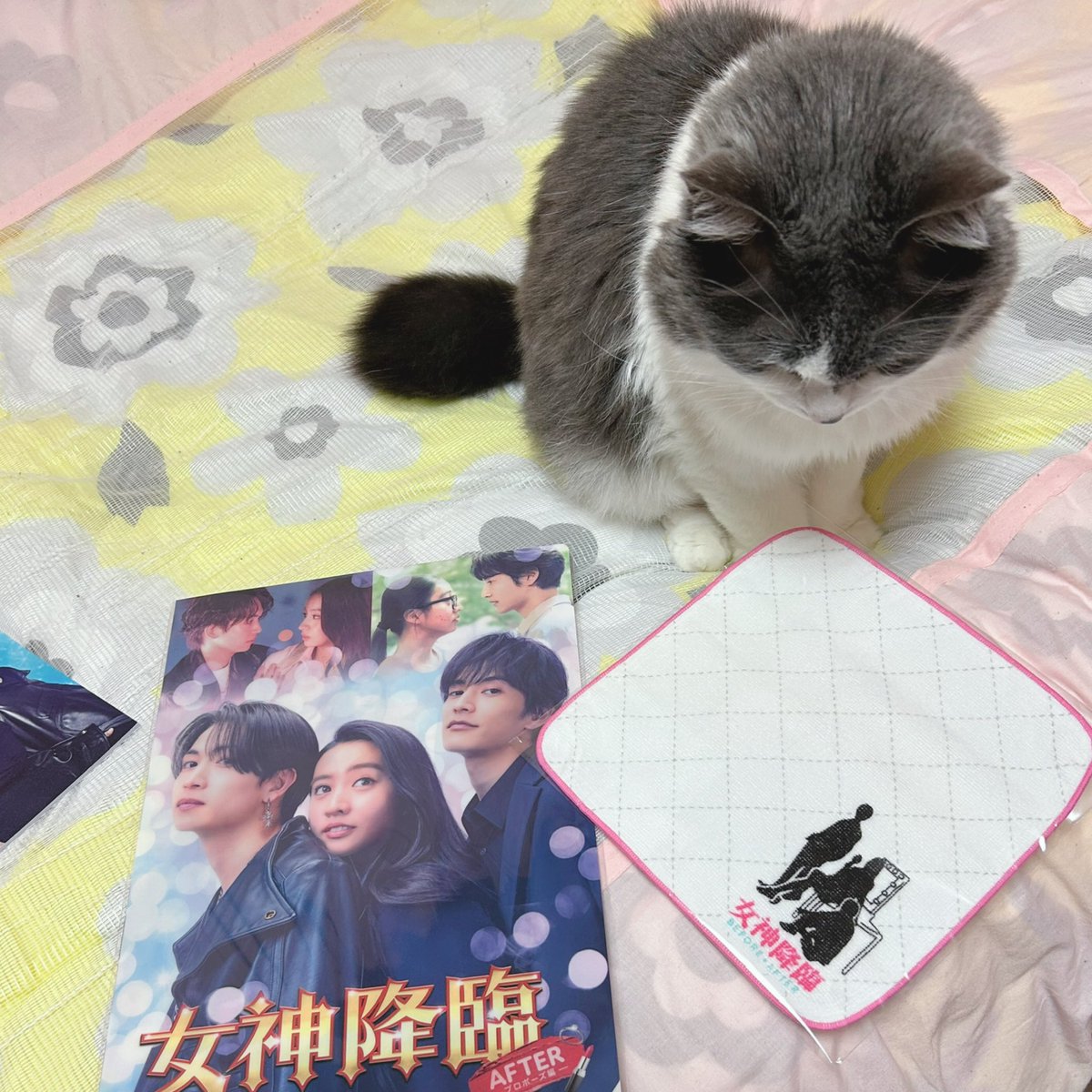 goth_make's tweet photo. アッシュは6月9日で11歳になりました☆

と言う事で7月からメインであるMIHALのと一体化致します‼️🐈‍⬛

今後はMIHALの方からアップして行きたいと思いますので宜しくお願いします❗️

#MIHALBLOG #猫 #ネコ #ニャンコ #ペット #猫好きさんと繋がりたい https://t.co/xCFcoh9miN