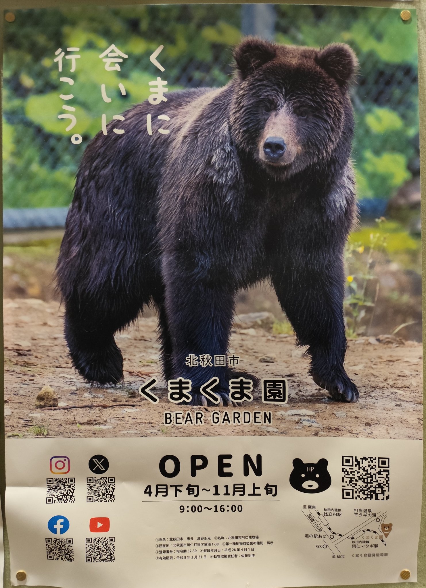 あきくま くまのがっこう×阪急電車ぬいぐるみやわらかビーンドール