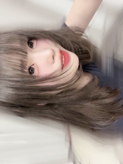 🐾にゃんとぴあ🐾(ねこぴ)のツイート