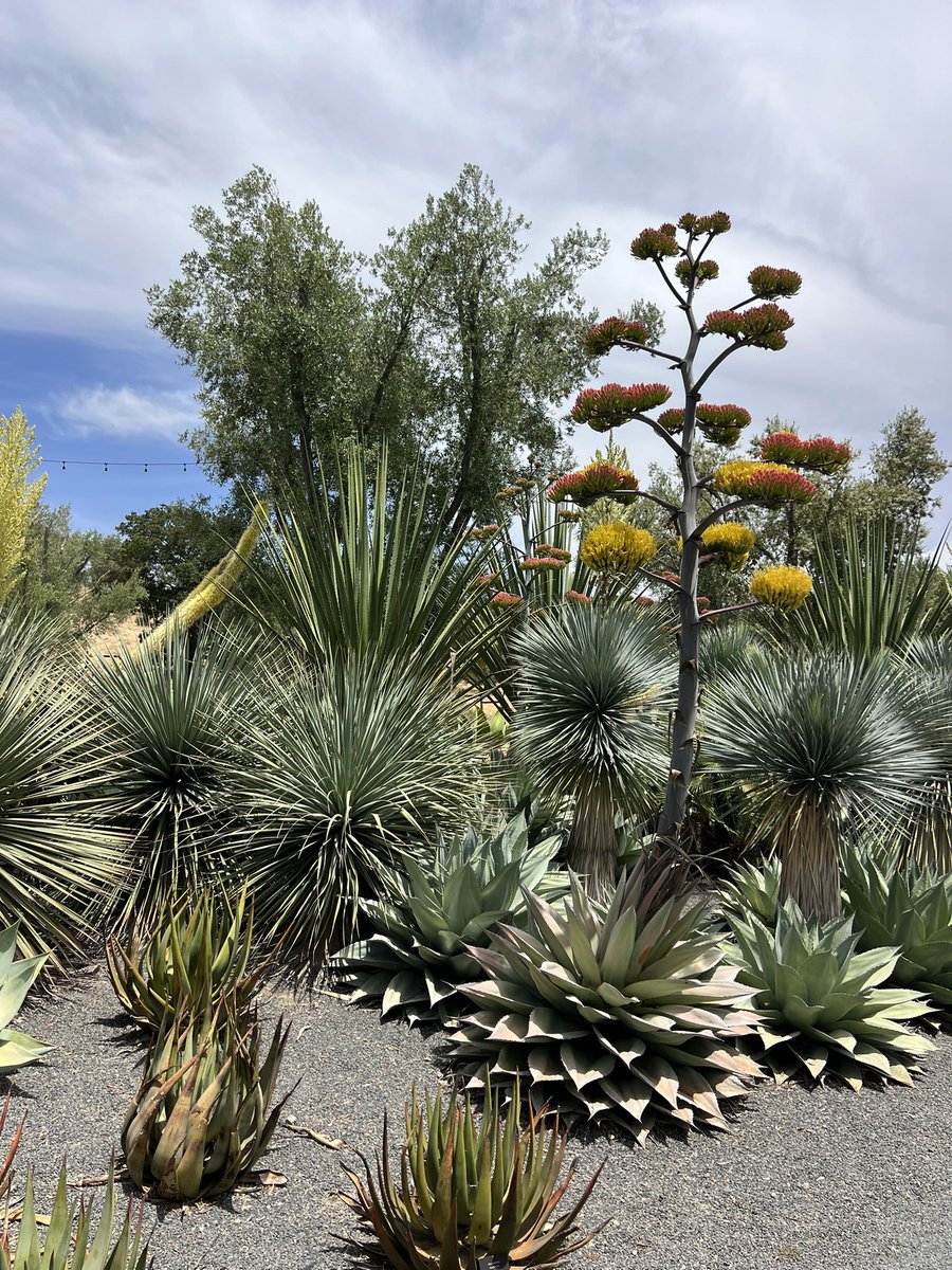 Tell me you love NorCal without telling me you love NorCal.