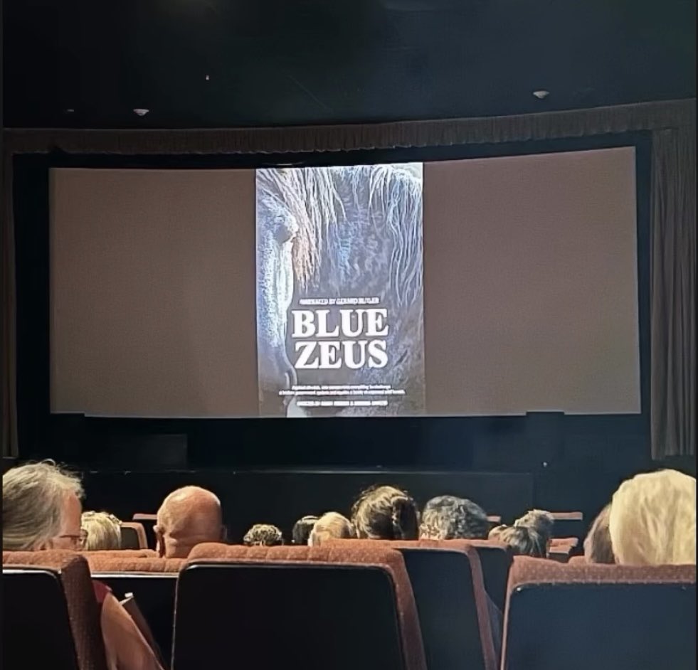 Skydog Sanctuary (@skydogsanctuary) on Twitter photo The premiere of #bluezeusthemovie at the <a href="/shorefilmfest/">JerseyShoreFilmFest</a>. #wildhorses #wildmustangs #movies #documentary #stallion #stoptheroundups The premiere of #bluezeusthemovie at the <a href="/shorefilmfest/">JerseyShoreFilmFest</a>. #wildhorses #wildmustangs #movies #documentary #stallion #stoptheroundups