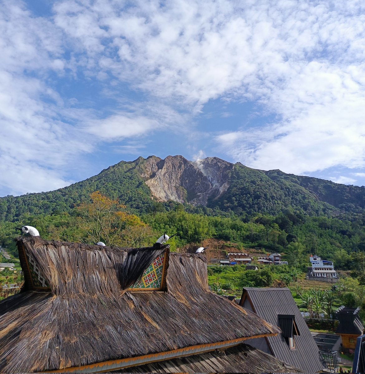 Bangun pagi ditemenin pemandangan kayak gini
Beuhhh 🤤