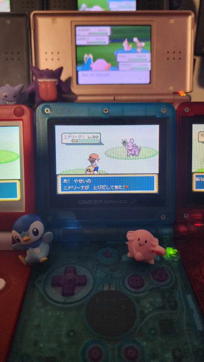 FreakinSnoopy's tweet photo. #6 and last for Safari Week 💫 Shiny nidorina again after 15,876 caught her after a few balls 🐇 https://t.co/9JUxTAsr7u