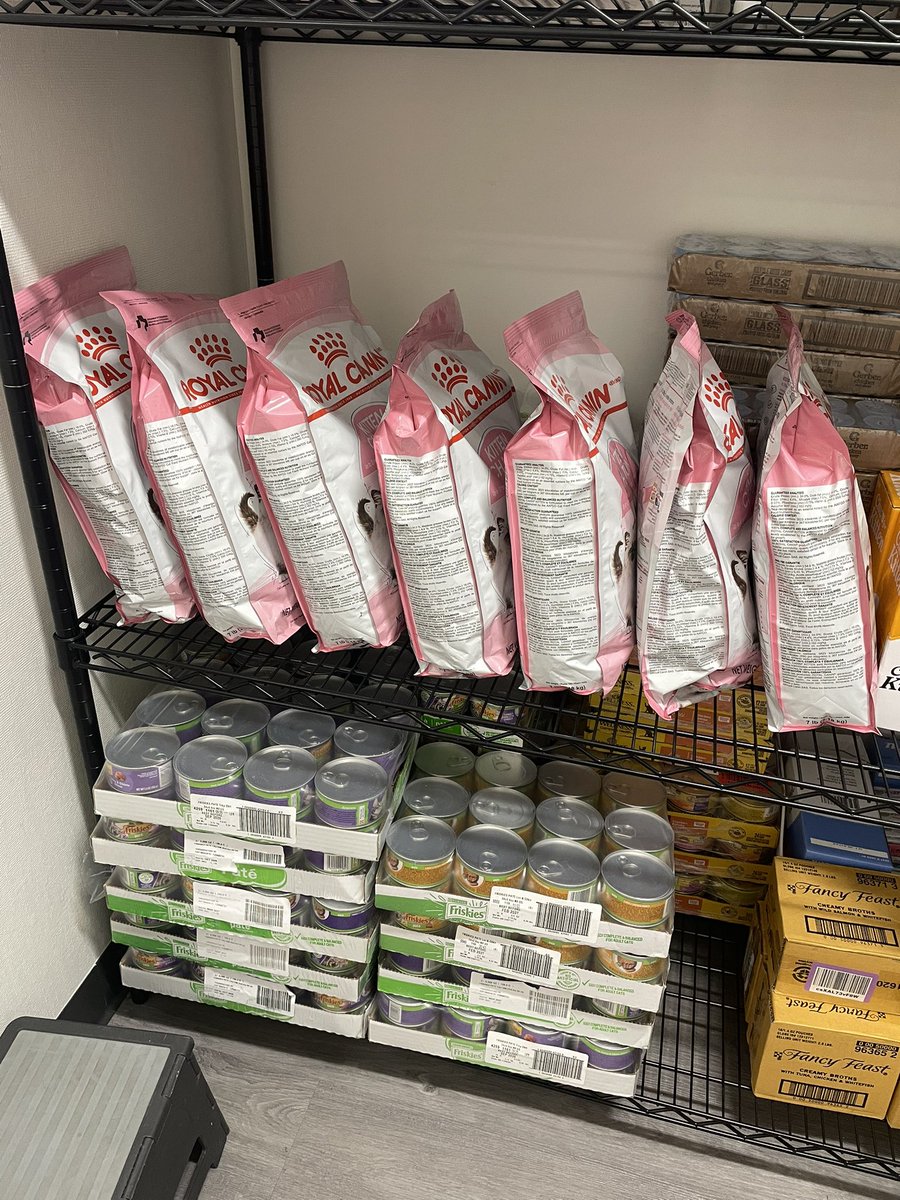 Friends of Bear Cat Rescue tweet media