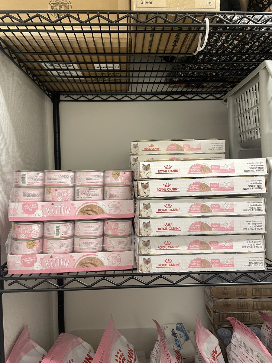 Friends of Bear Cat Rescue tweet media