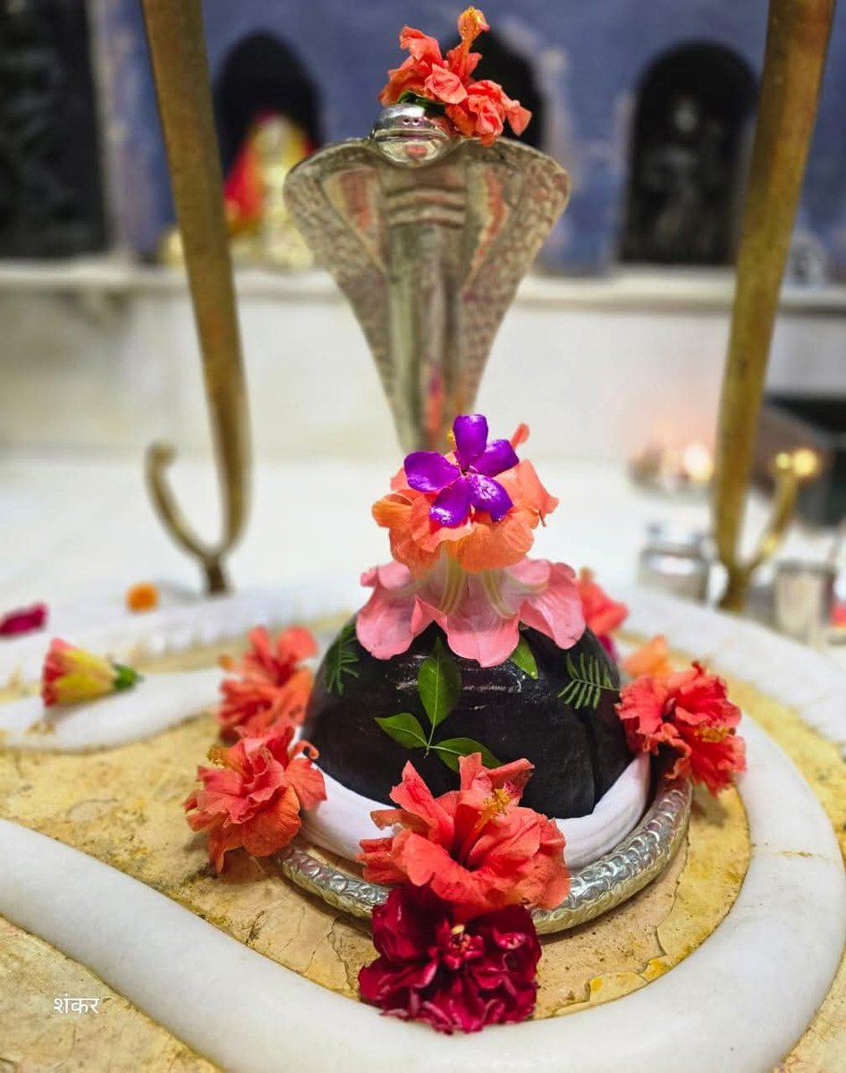 InduGoswamiBJP's tweet photo. जय बाबा बैजनाथ 🪷🌸🙏🚩
ॐ नमः शिवाय https://t.co/yV9KHAPjYo