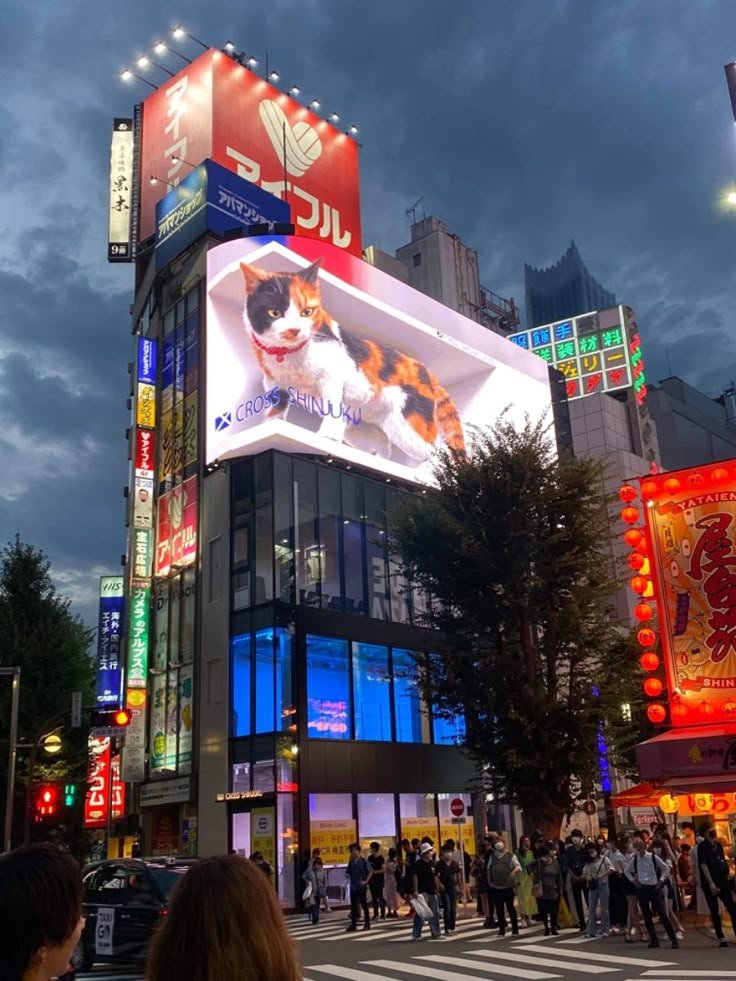 Anthony24239694's tweet photo. 📍Giant 3D cat in Shinjuku Tokyo https://t.co/rzZtHF3Mca