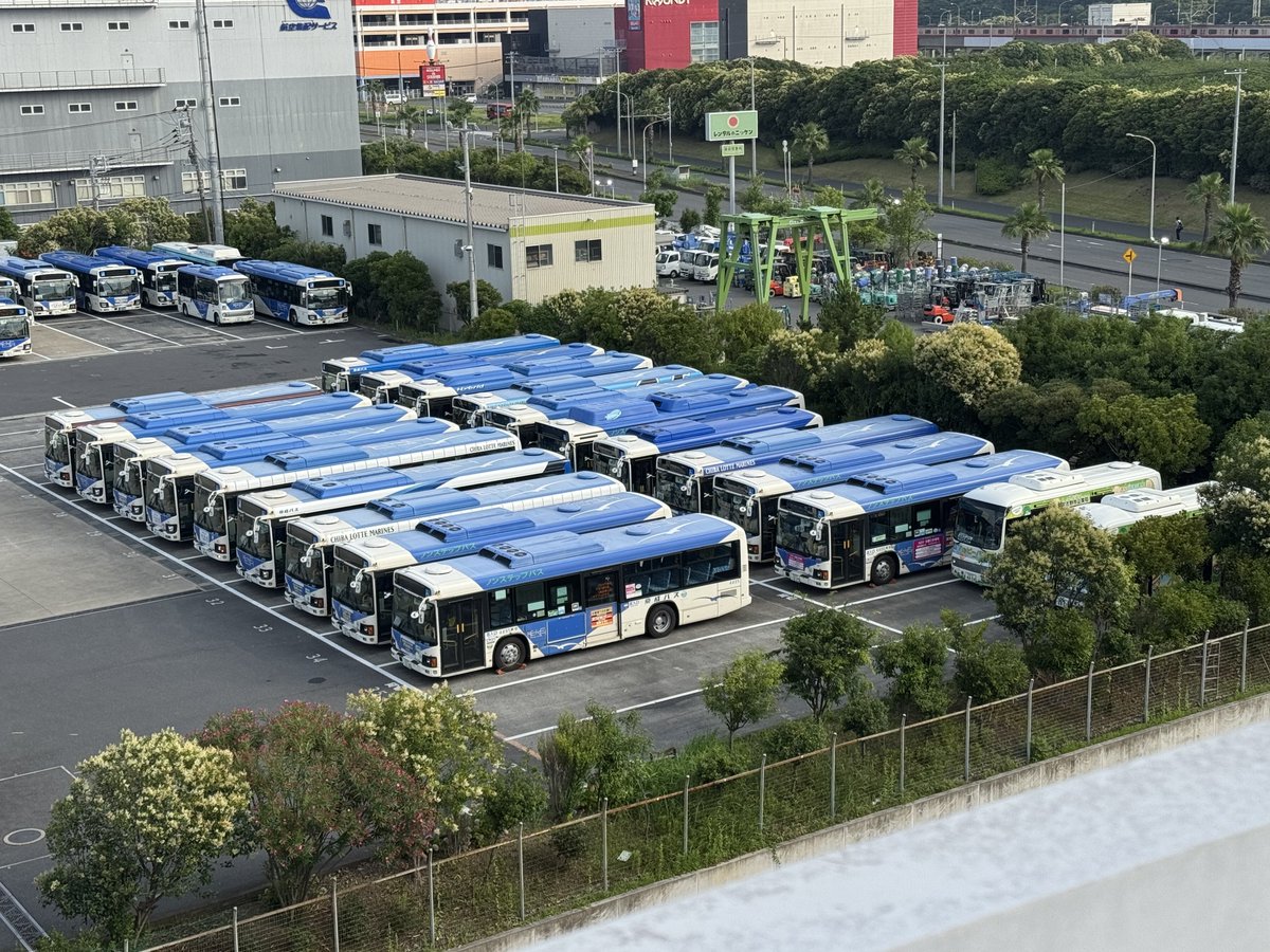 早朝の京成バス 新都心営業所にて、
イオンモールお買い物バスの専用車が、
4484から4496に引き継がれていました。

4496は、貸切登録車に変更されて
専用マスクや看板を装着。

4484は隣で留置されていました。
#京成バス