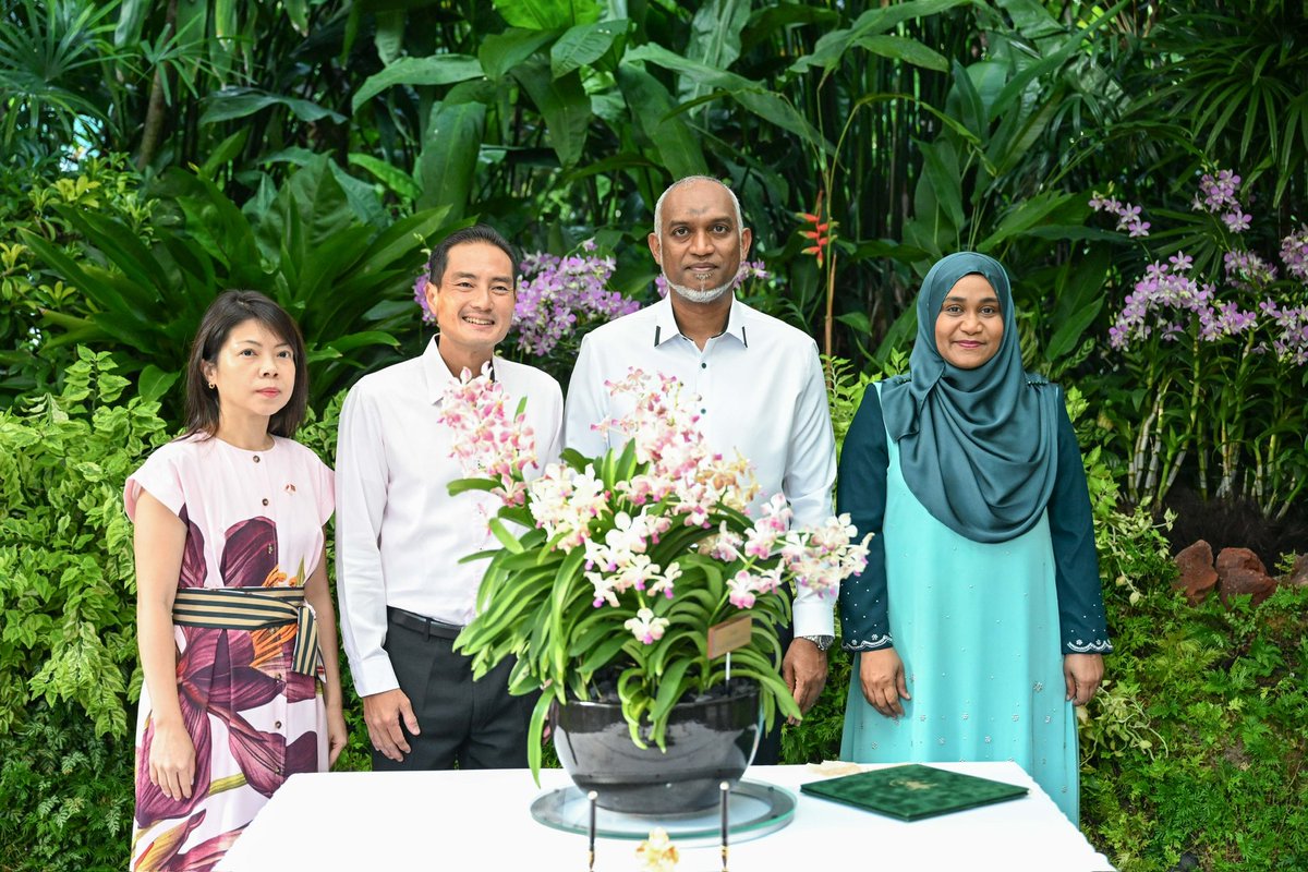 His Excellency President Dr <a href="/MMuizzu/">Dr Mohamed Muizzu</a> and First Lady Madam <a href="/sajidhaamohamed/">First Lady Sajidha Mohamed</a> attend an orchid naming ceremony at the National Orchid Garden of Singapore this morning. During the ceremony a special orchid was named in their honour, marking the warm friendship between Maldives and