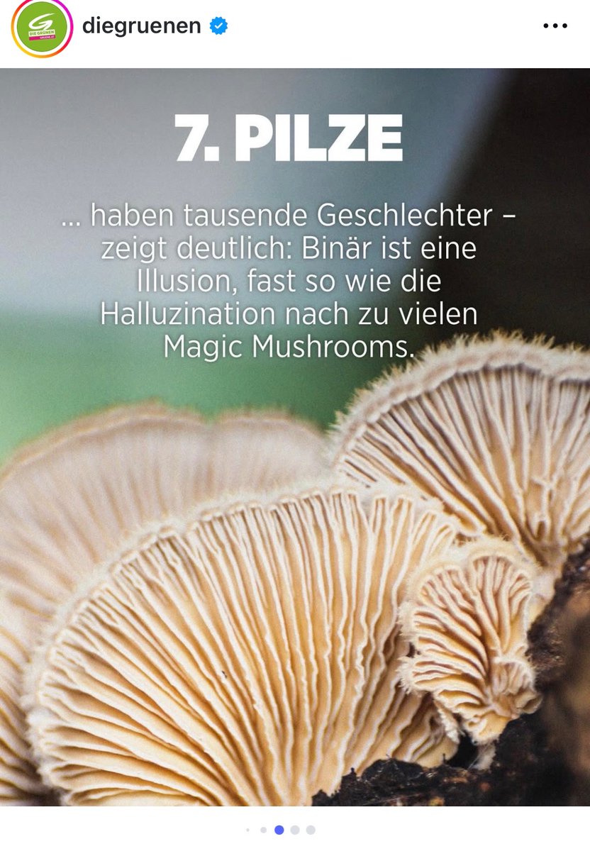 Mann &amp; Frau soll es angeblich nicht geben, weil Pilze mehrere Geschlechter haben. Mehr muss man über die Grünen wirklich nicht wissen. 🤦🏼‍♀️