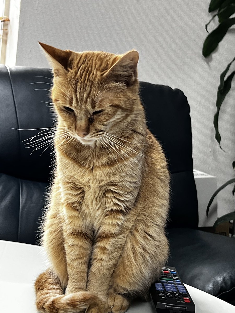 万福桜でランチ🍜
中華丼  台湾ラーメンセット850円🤗