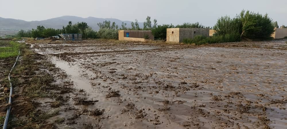 FAOAfghanistan's tweet image. 🚨 Flash floods in eastern provinces are hitting communities & agriculture hard. New risk of floods also likely in parts of the southeastern region this week.
@FAO & UN partners are assessing the impact and stands ready to support affected communities.
📸Damaged fields, Wardak