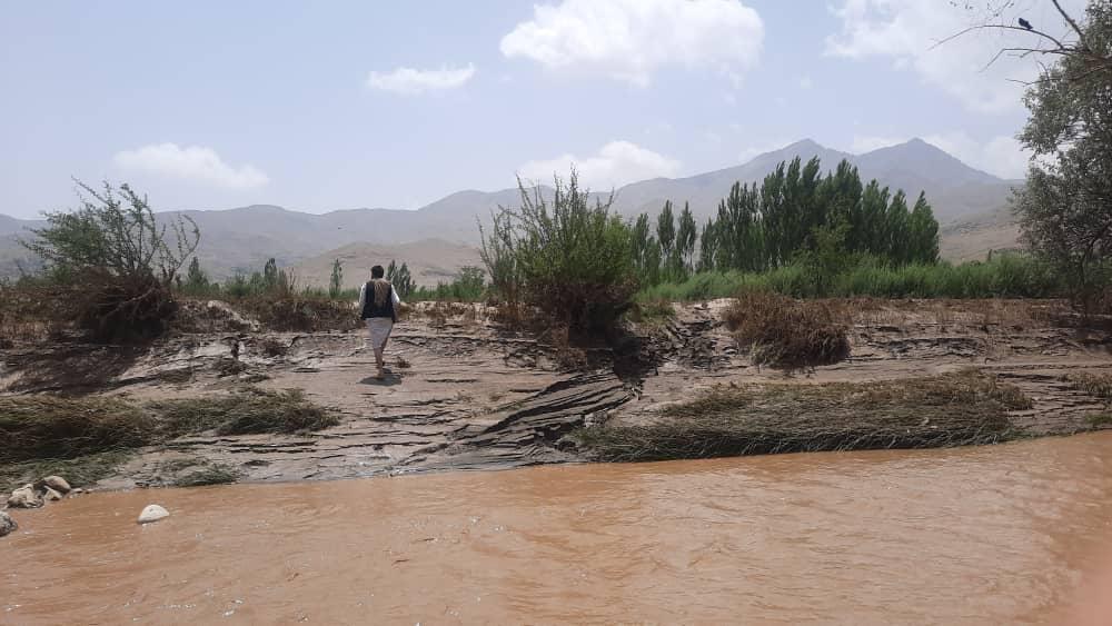 FAOAfghanistan's tweet image. 🚨 Flash floods in eastern provinces are hitting communities & agriculture hard. New risk of floods also likely in parts of the southeastern region this week.
@FAO & UN partners are assessing the impact and stands ready to support affected communities.
📸Damaged fields, Wardak