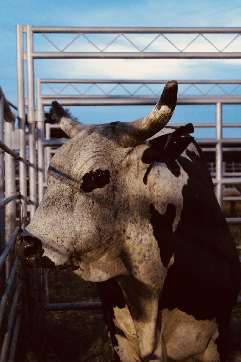 Rylee🖤 tweet media