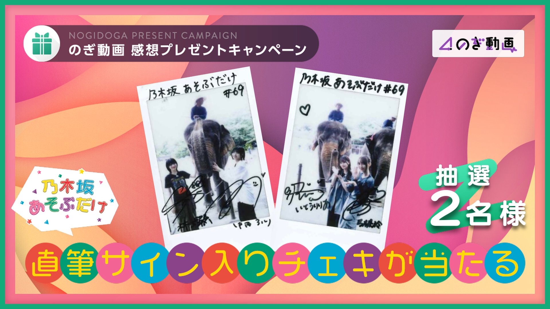 乃木フェス 好きというのはロックだぜ 直筆サイン入り チェキ