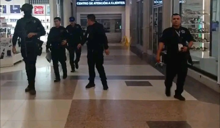 la Verdad en Sonora ⚠️ tweet media