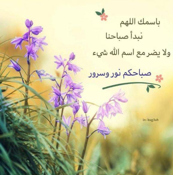 غزال رجل مصري tweet media