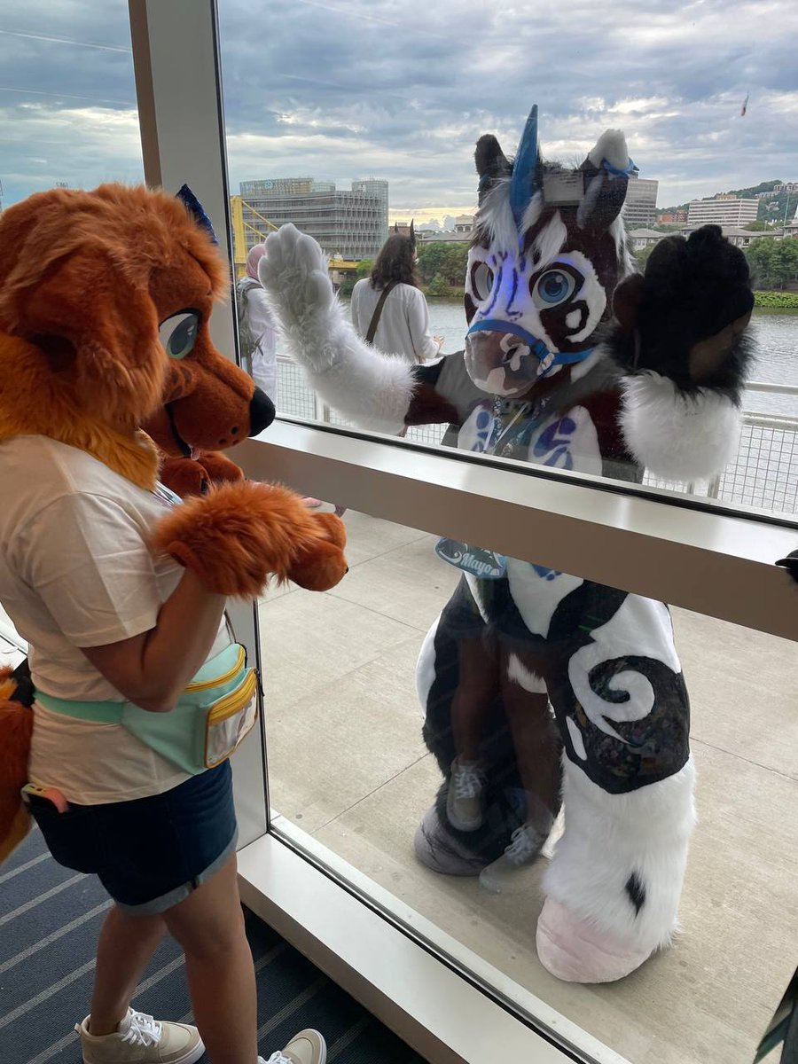 Who's all going to ac this year? I wanna see all my friends and make new ones!