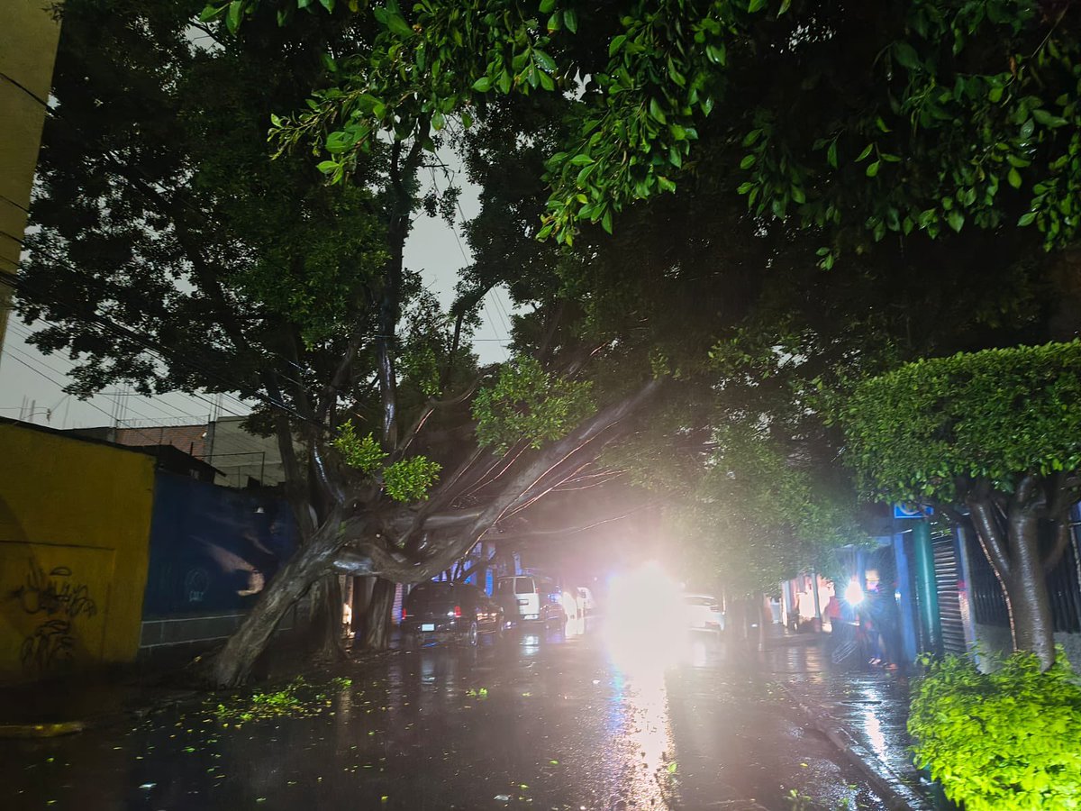 Blindar BJ 360 tweet media