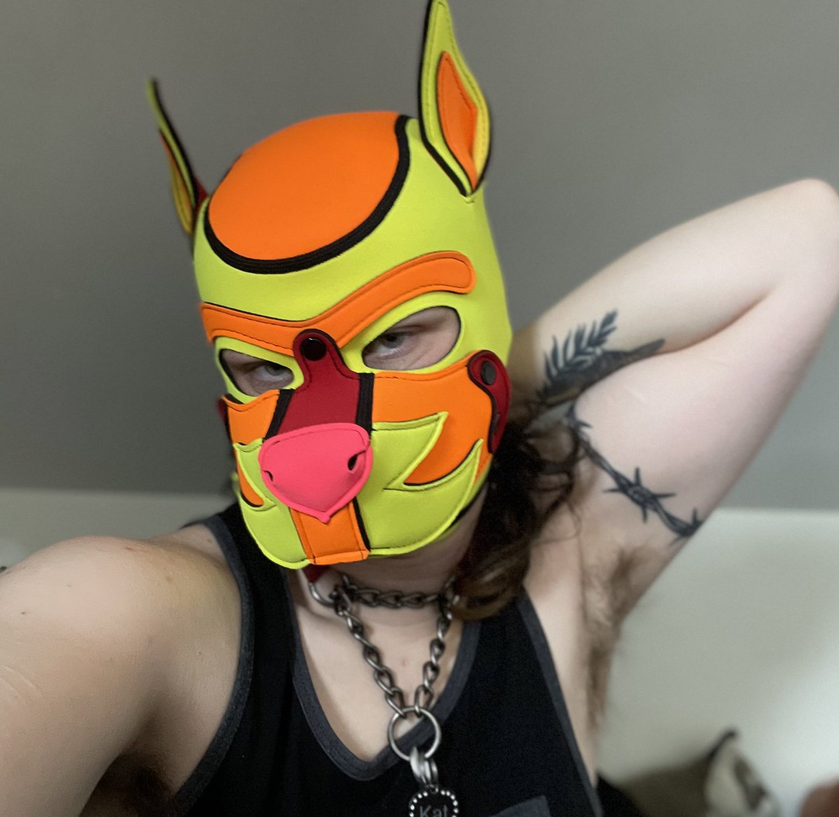 Pup Kat!! SOON🔜FUR-EH!! tweet media