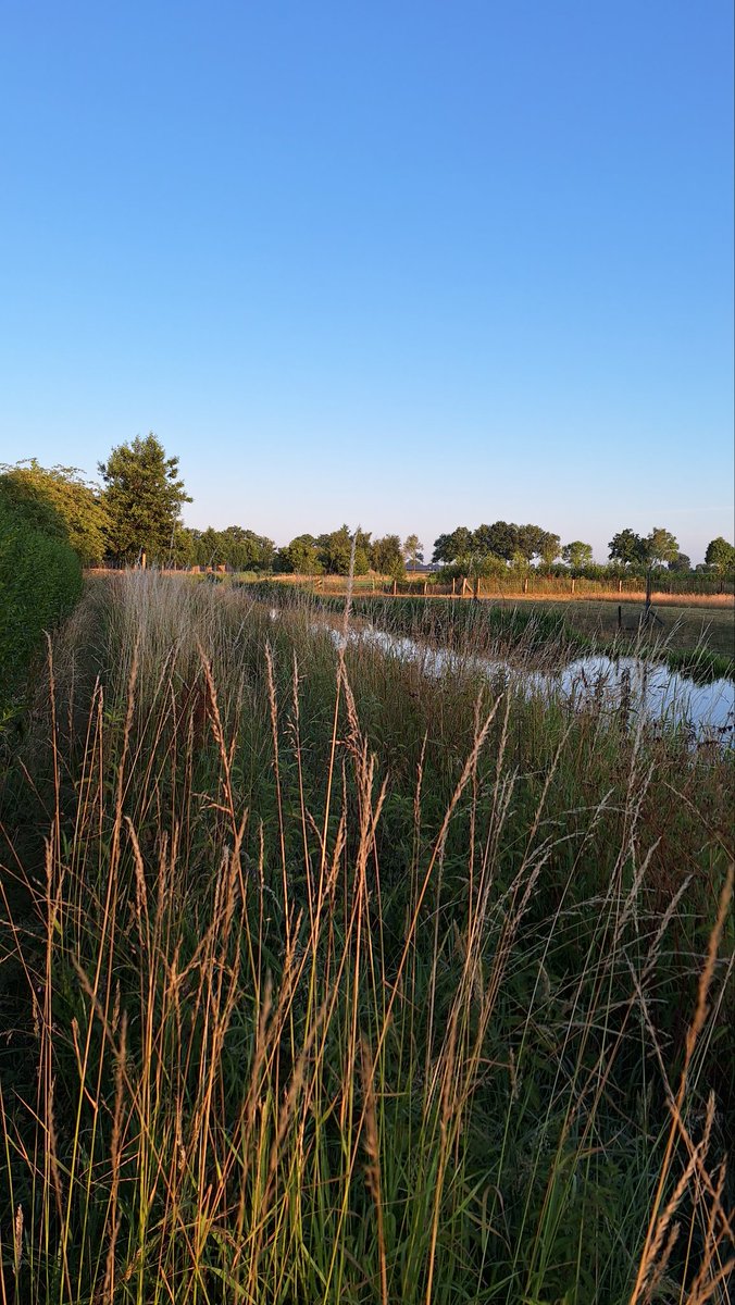 KeesAddy's tweet image. We zijn er weer lekker vroeg bij . Goedemorgen .