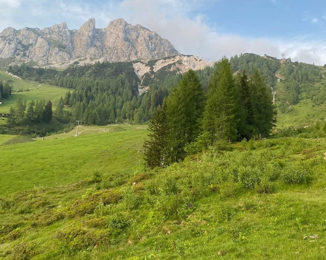 fluglehrer_neu's tweet photo. 300623 archiv, natur pur beim #ramsi #hermagor https://t.co/1uQ907Ao8u