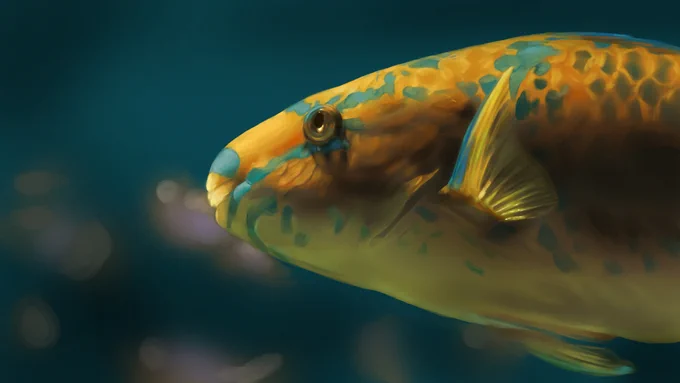 ペンギンと魚。 描き出しと完成。