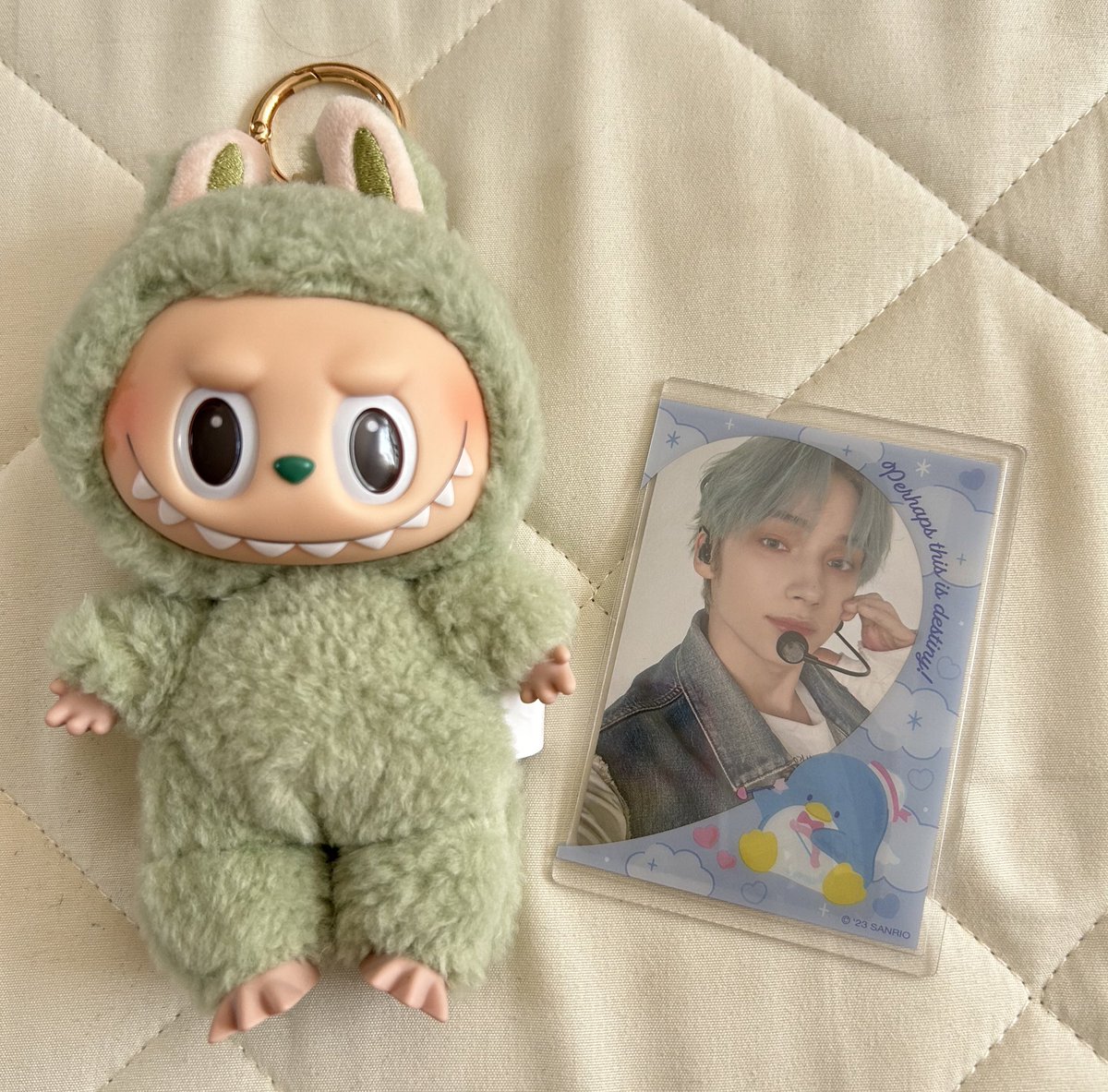 うちの子🫶🏻