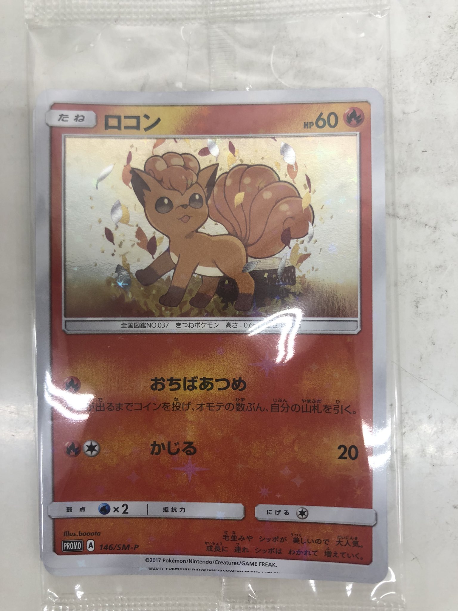 ロコン PROMO SM-Pプロモカード 146/SM-P おちばあつめ ロコン プロモ 146/SM-P おちばあつめ（ロコン【P】{146/SM-P}）