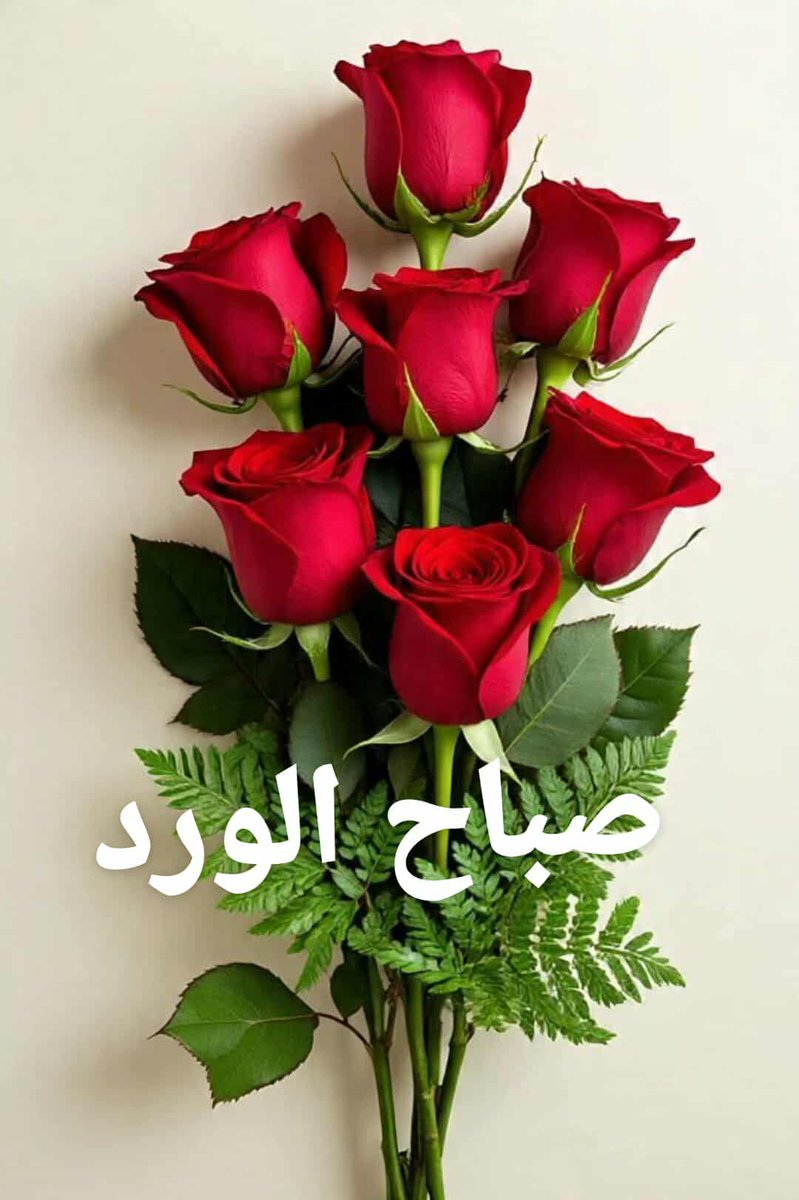 🇮🇶🇮🇶 Haider Ali 🇮🇶🇮🇶 (@5gg33) on Twitter photo صباح الورد صباح الورد