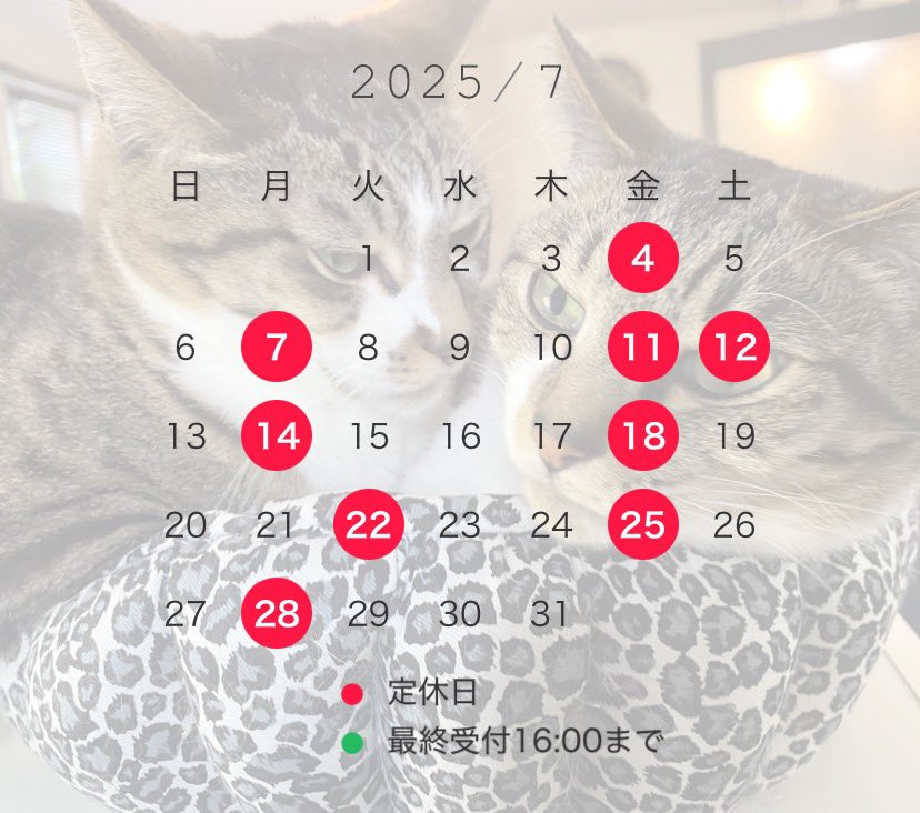 nekohige22's tweet image. 🏴‍☠️7月の営業のお知らせ🏴‍☠️

12日(土)臨時休業。
宜しくお願いいたします🙇‍♀️