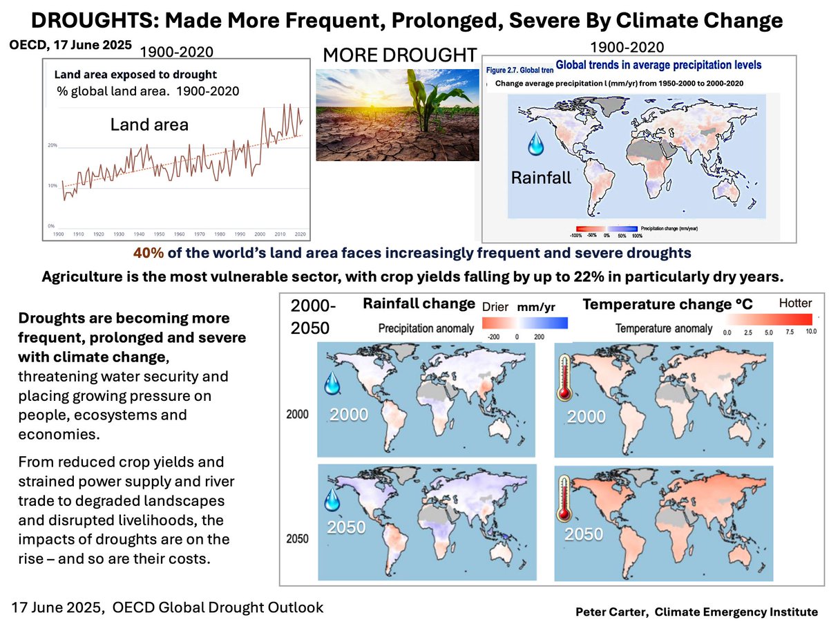 REPORT: GLOBAL DROUGHT GETTING WORSE FAST FROM CLIMATE CHANGE
Excellent OECD report Global Drought Outlook, June 2025
Rapidly increasing land area affected by drought. 40% of the world’s land area faces increasingly frequent and severe droughts. Agriculture most vulnerable.