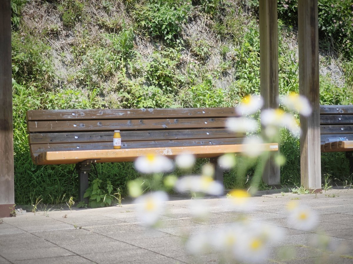 本日発売のLoveLive!Days  2025年8月号 #FindOur沼津 背景写真で参加しております📸

イラストは
火照ちげさん:<a href="/hotetige/">火照ちげ/画集「FindOur沼津」発売中🗻</a>
Patoさん:<a href="/ptro0929/">Pato</a>  

いよいよ夏！な素敵2枚にラブカ千歌ちゃんPRカードも付いてきますのでぜひ本誌でご覧ください🍊🍋💮

#Aqours #lovelive