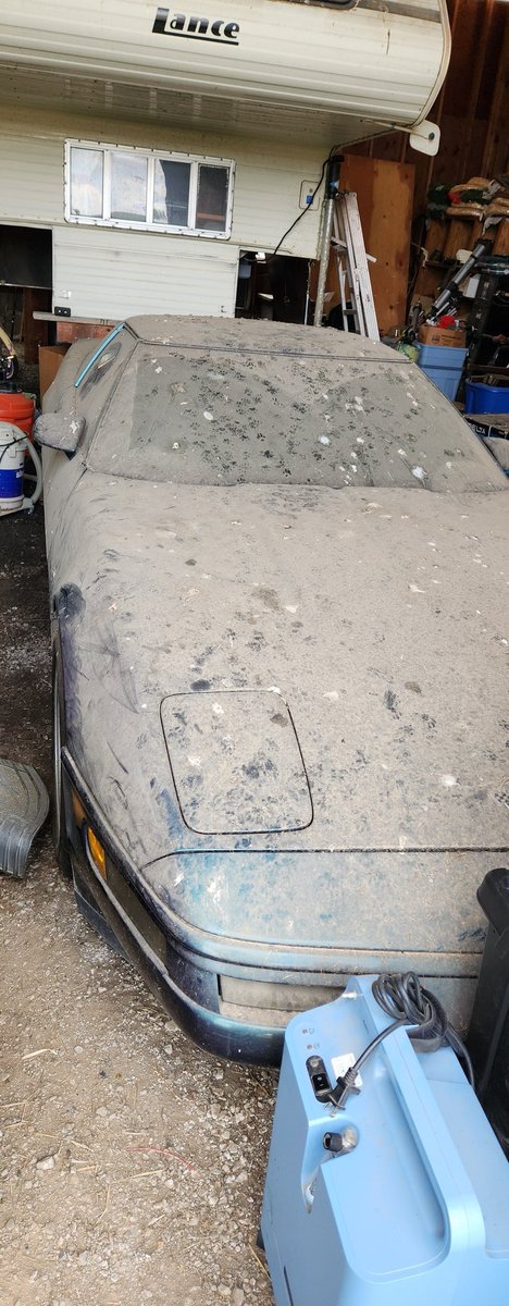 SchrodingersGC's tweet image. BARN FIND! Tell me what you think.