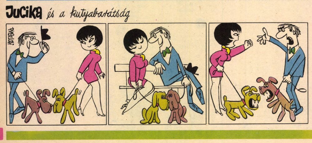 Jucika (@jucikadaily) on Twitter photo 