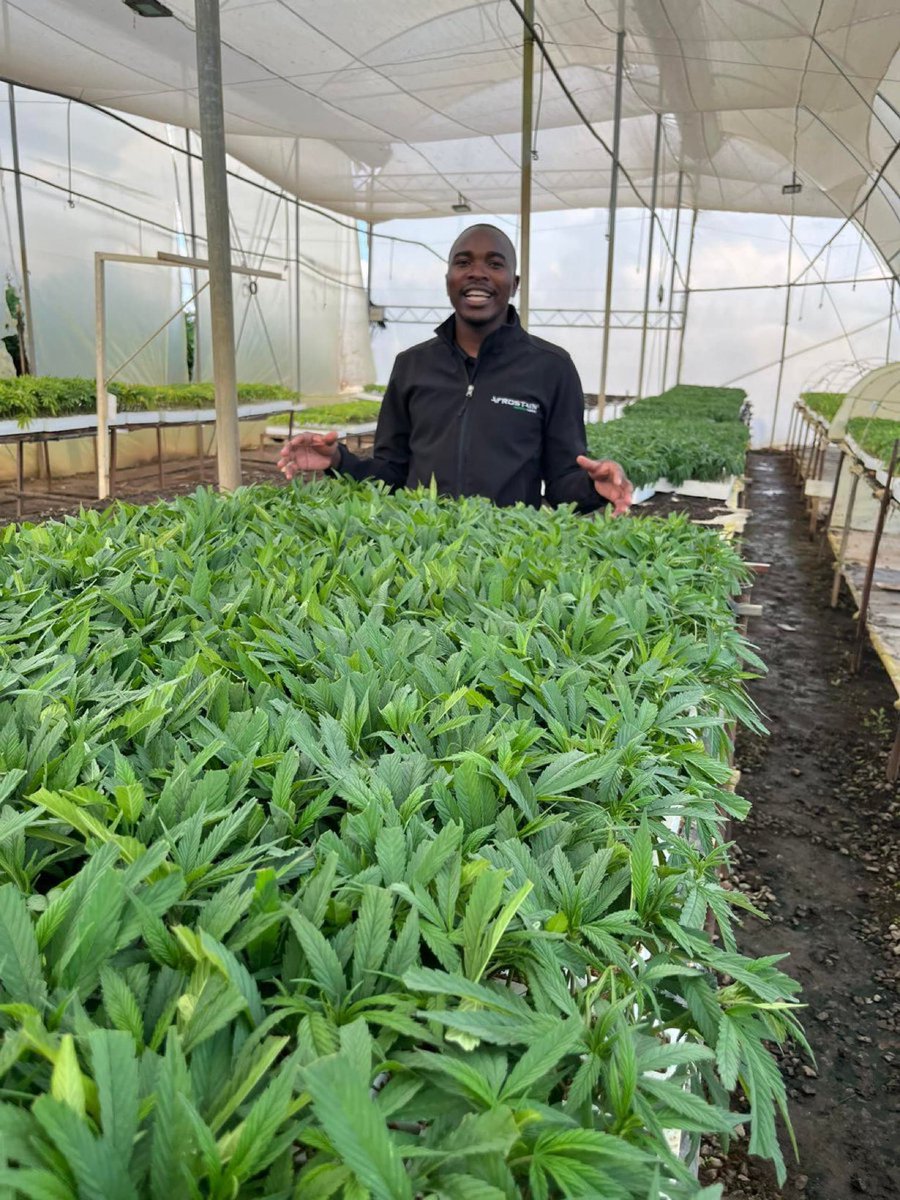 Wenceslous Nyamupfukudza tweet media