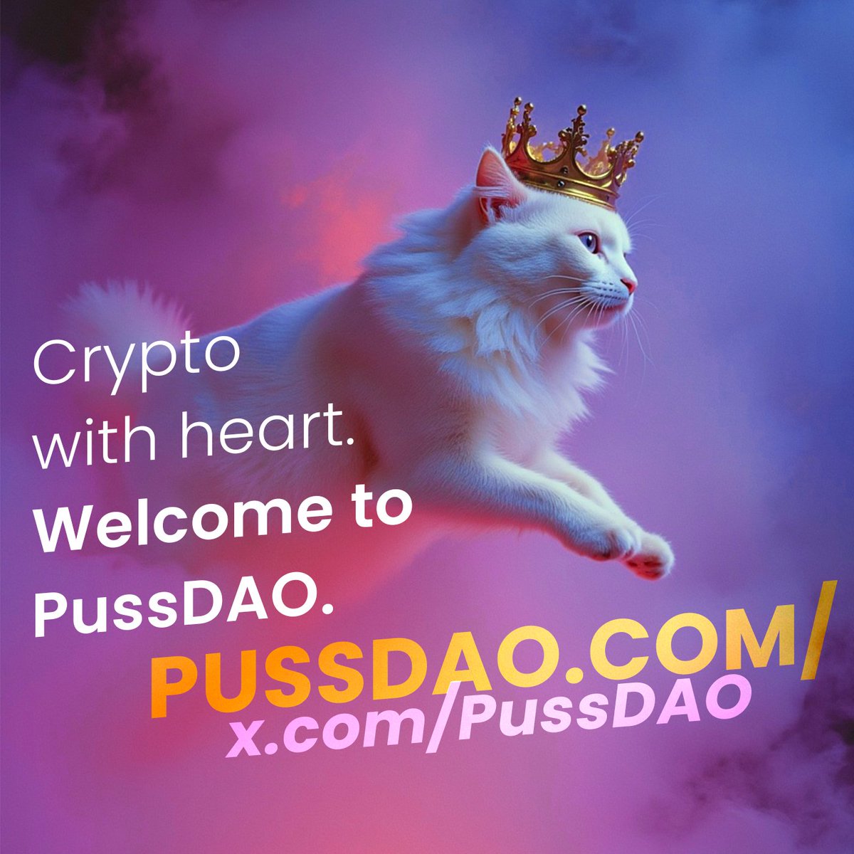 ishaagur1's tweet photo. $PUSSDAO isn't just a memecoin, it's a movement! 😻 This amazing project is building a purr-fect community, supporting cat welfare, and empowering shelters with crypto! So proud to be part of this pawsome revolution! 🐾 #PUSSDAO #CryptoCommunity #Blockchain #Cats #Memecoin 🚀 https://t.co/nLUBB8oHB1