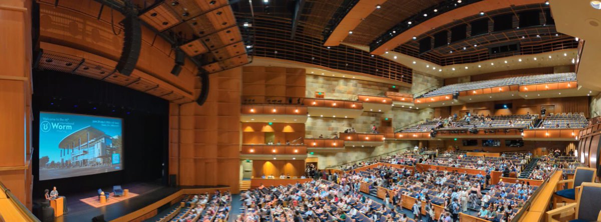 Grateful to present our work at #worm25 #glia! 🪱🧬