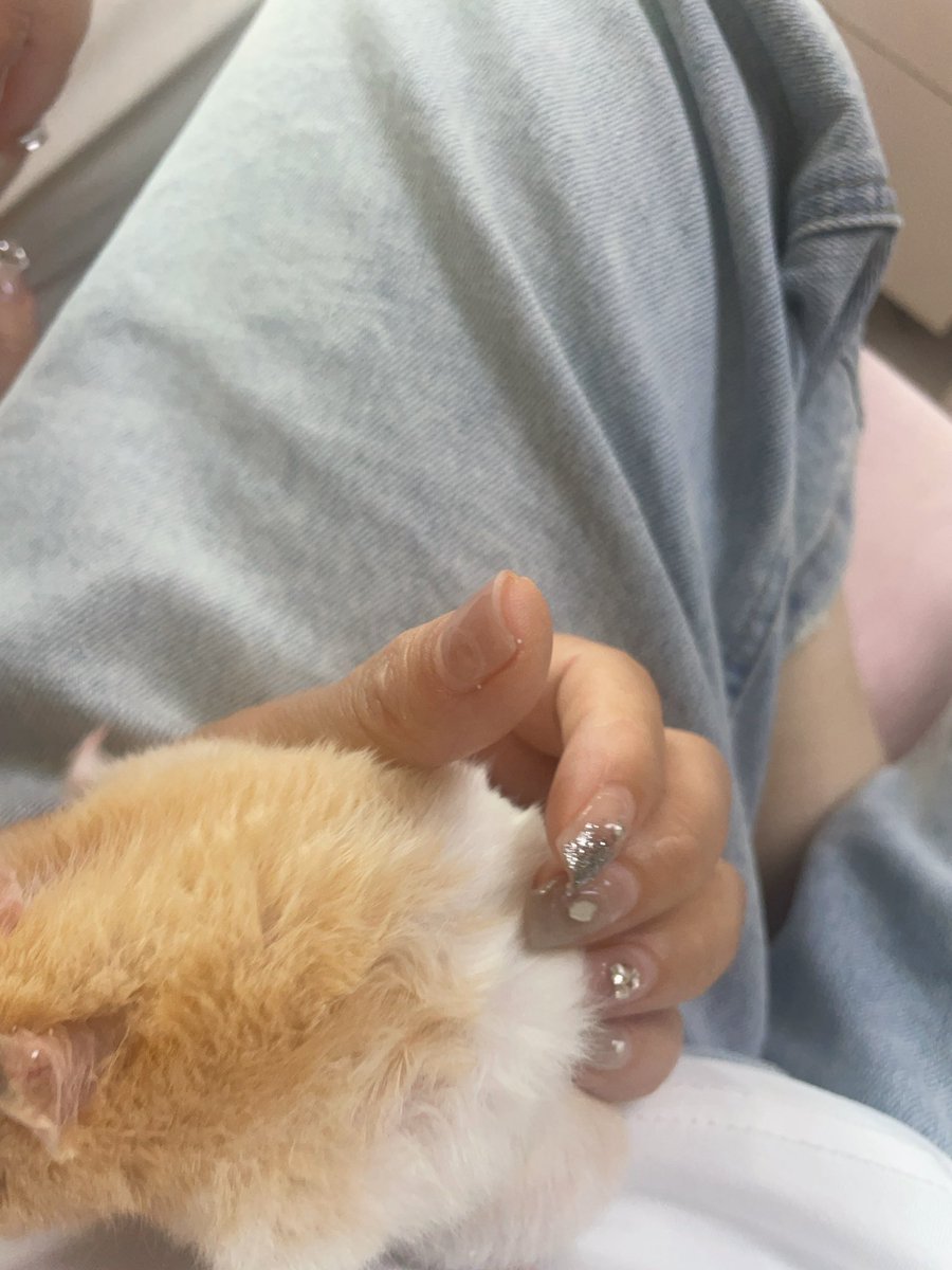 故事的小黄花 tweet media
