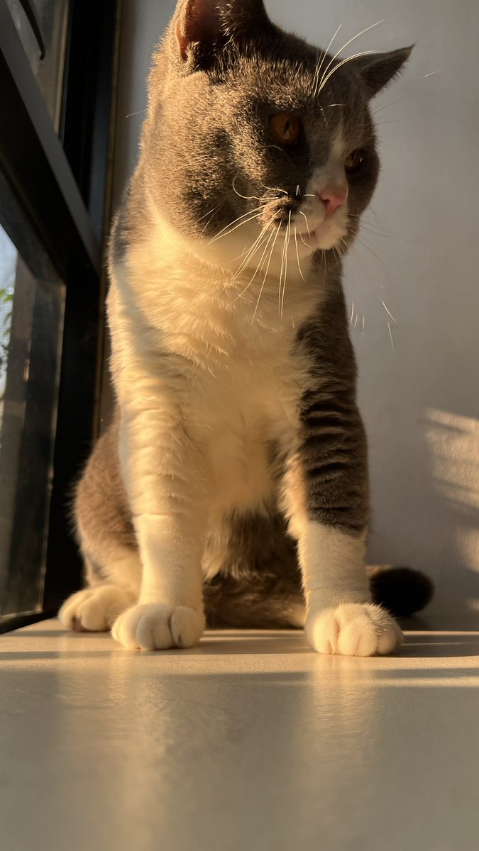 no no no tweet media