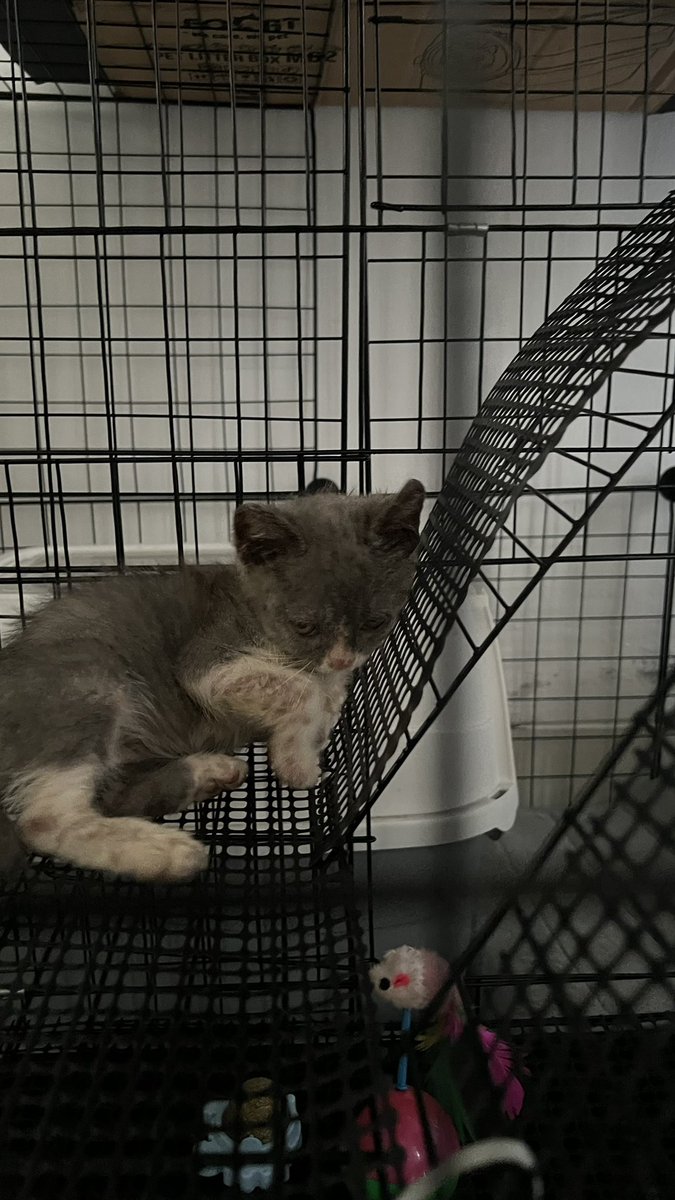 no no no tweet media