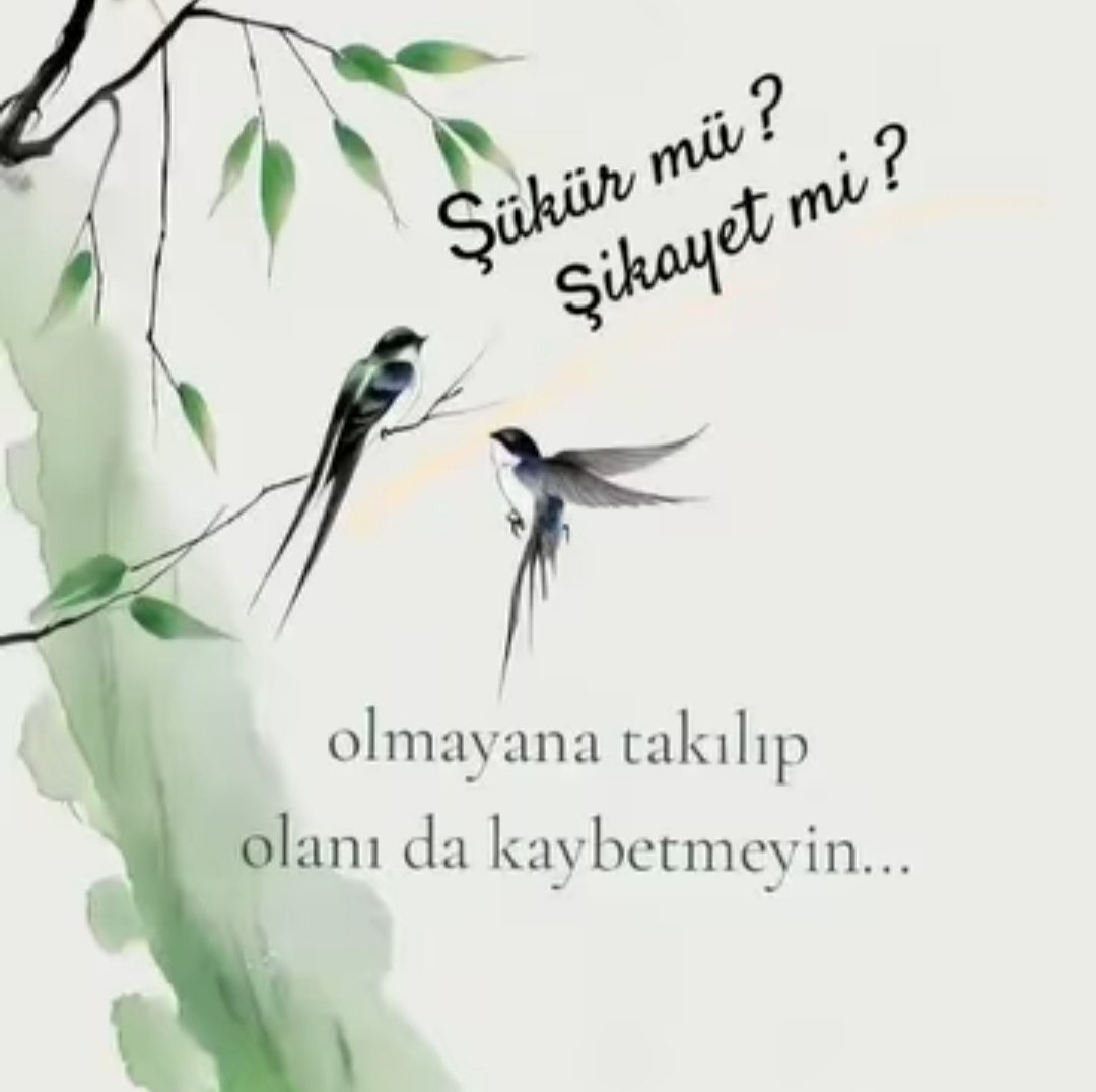 kutlumesut01fb1's tweet image. 🌠"Kimi İNsaN çok şey
BİL ir, etkili konuşur,
dikkat çeker. Ama BİL gelik sadece BİL mek değil,
BİL diğini doğru yerlerde kullanabilmektir.
"Sözlerin değil de gözlerin konuştuğu zaman ÂN L â dım, hayat senden değil sen hayattan ibaretsin.
"Allah Vermeyi Emretti, istemeyi DeğiL!