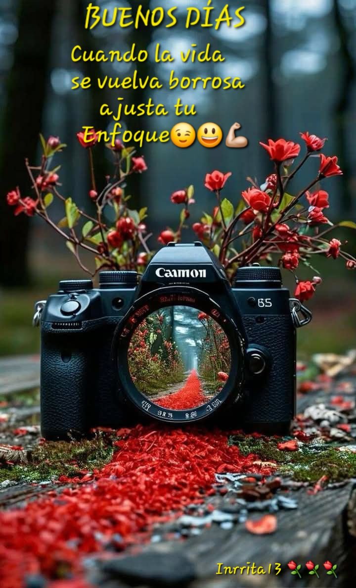 #BuenosDías🌎Empezamos Semana,último lunes y fin de mes😃q tengáis un #FelizLunes ☕️🌞🥵 Vamos Con💪🏼y una😃
No es Facil,
Pero tampoco IMPOSIBLE🫂💋
#YoMeRebelo30J 
#TodosConValencia 💪🏼❤️