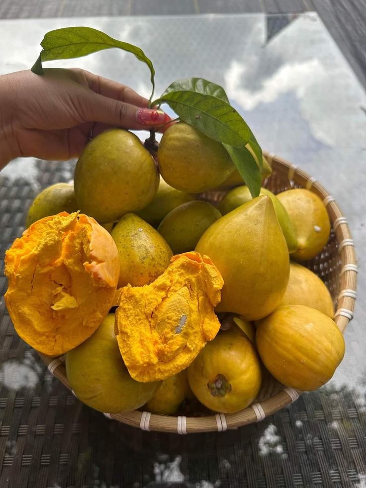 इस फल का नाम बताओ? 🤔