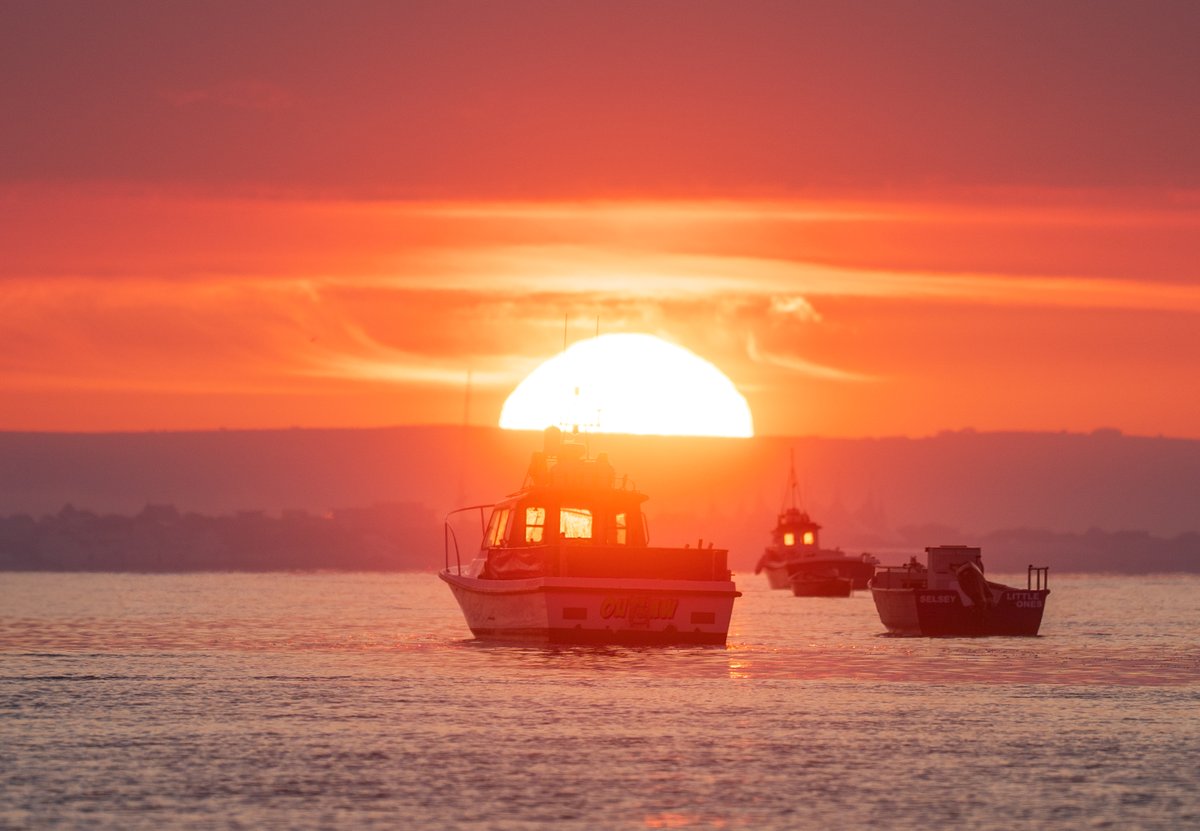 Coastal JJ UK tweet media