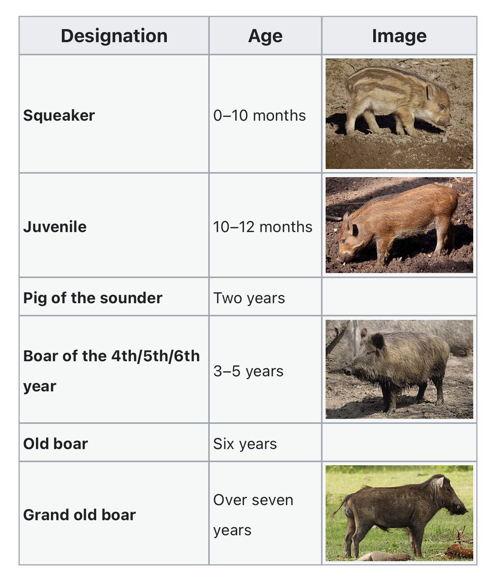 Slouching Towards McDonaldland tweet media