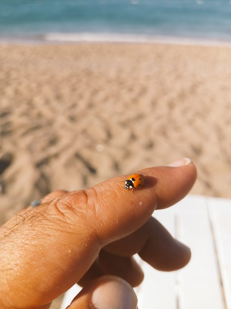 Uğurumuz bol olsun. Kendimizi Kaf Dağı'nda görmediğimiz bir gün olsun...
