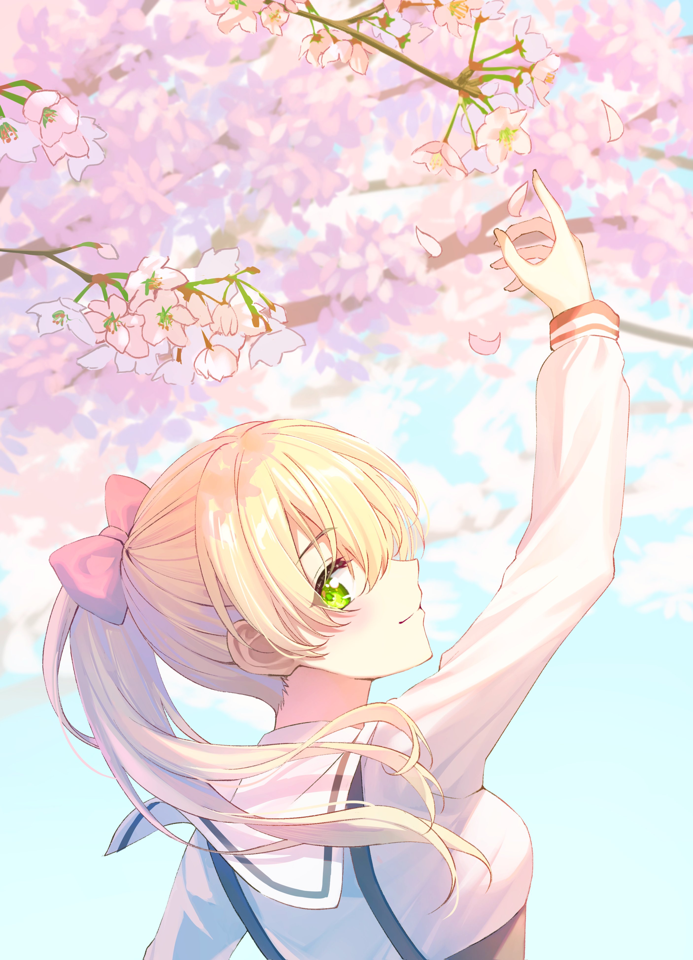蒟蒻にゃんこ (@otbk2) / X