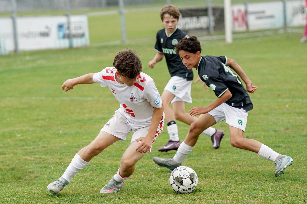 Prachtige foto's van Justin Sangers (zie ook sangersproductions.nl )